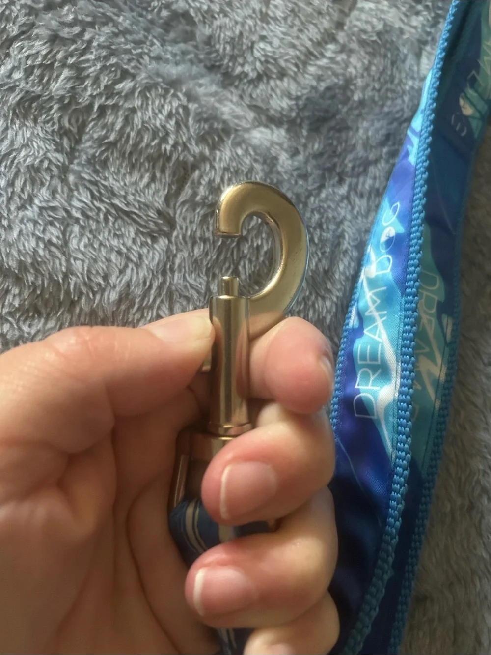 Dream Dog dog leash
